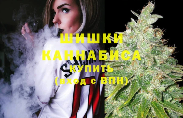 мяу мяу мука Баксан