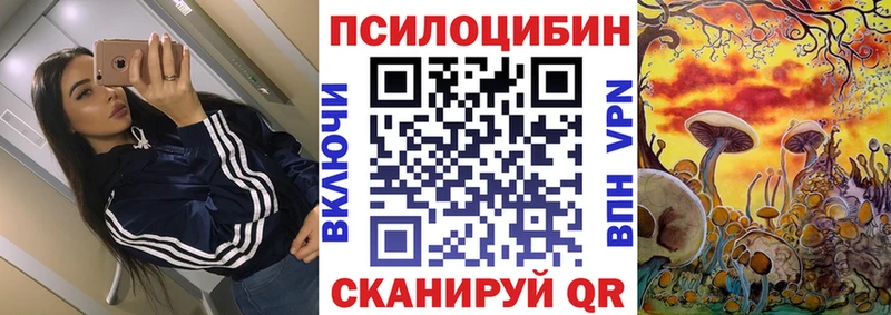 Псилоцибиновые грибы Psilocybine cubensis  закладка  Красный Кут 